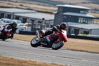 anglesey-no-limits-trackday;anglesey-photographs;anglesey-trackday-photographs;enduro-digital-images;event-digital-images;eventdigitalimages;no-limits-trackdays;peter-wileman-photography;racing-digital-images;trac-mon;trackday-digital-images;trackday-photos;ty-croes